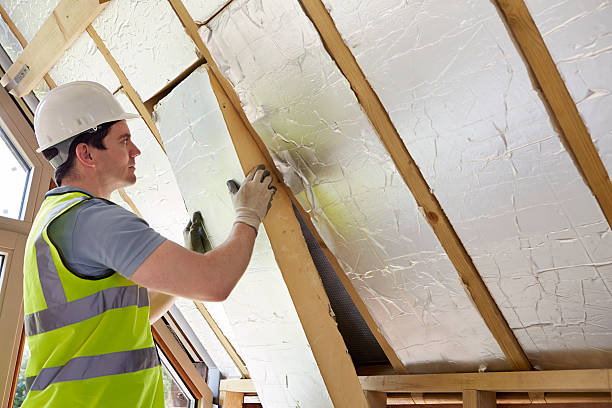Best Specialty Insulation in Elmwood, IL